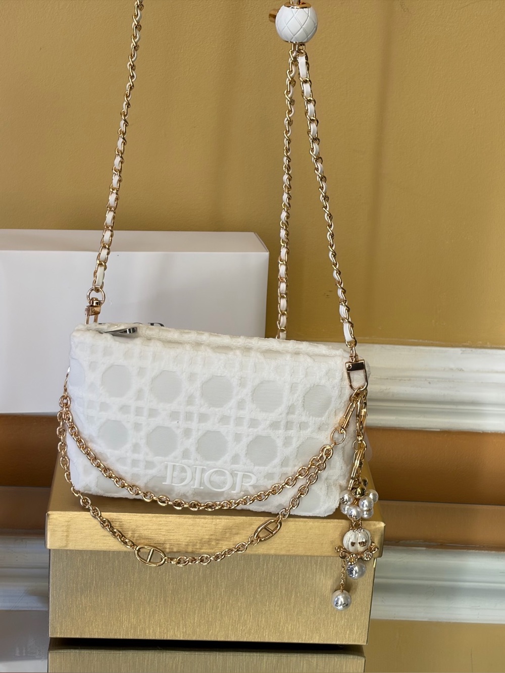 Dior pouch / crossbody